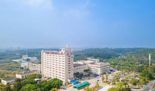 深圳华大医院(深圳华大医院建设进度)